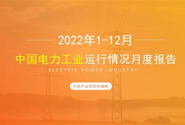 2022年1-12月中国电力工业运行情况月度报告（附完整版）