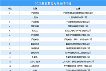 2022中国新能源动力电池排行榜（附榜单）