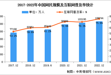 2022年中国互联网网民结构状况分析：网民规模达10.67亿（图）