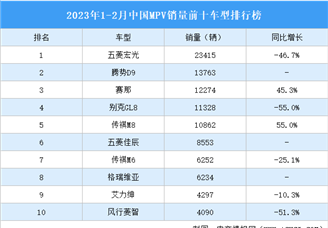 2023年1-2月中国MPV销量前十车型排行榜（附榜单）