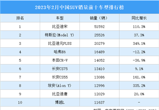 2023年2月中国SUV销量前十车型排行榜（附榜单）