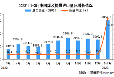 2023年1-2月中國煤及褐煤進口數據統計分析：進口量增長顯著