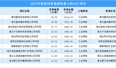 2022黄冈工业土地投资规模最大的十个项目，总投资额超4亿元