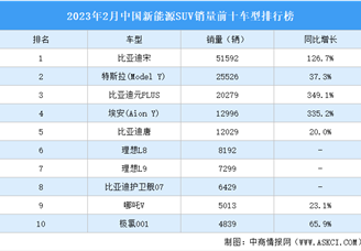 2023年2月中国新能源SUV销量前十车型排行榜（附榜单）