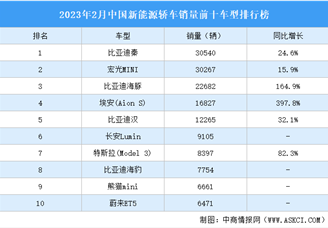 2023年2月中国新能源轿车销量前十车型排行榜（附榜单）