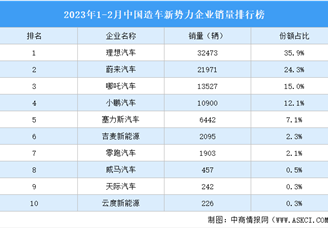 2023年1-2月中国造车新势力企业销量排行榜（附榜单）