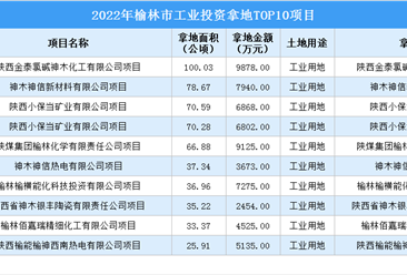 抓项目扩投资 2022年榆林市10大工业项目土地投资超6亿元