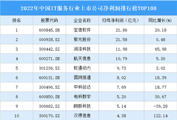 2022年中国IT服务行业上市公司净利润排行榜TOP100
