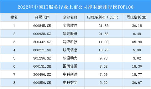2022年中国IT服务行业上市公司净利润排行榜TOP100