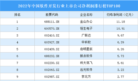 2022年中国软件开发行业上市公司净利润排行榜TOP100（附榜单）