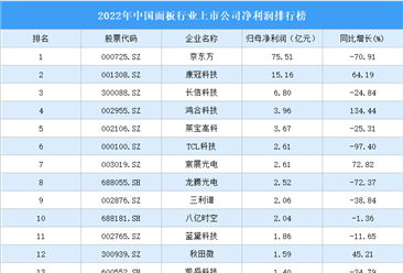 2022年中国面板行业上市公司净利润排行榜（附全榜单）