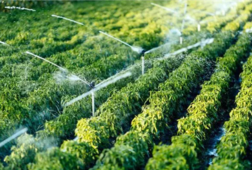 深度分析：新兴技术赋能农业 智慧农业未来发展趋势如何？