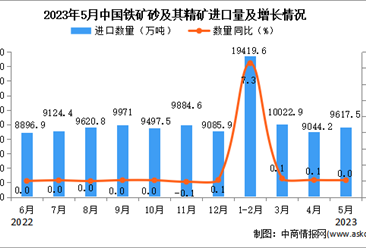 2023年5月中国铁矿砂及其精矿进口数据统计分析：进口量与去年同期持平