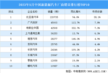 2023年5月中国新能源汽车厂商销量排行榜TOP10（附榜单）