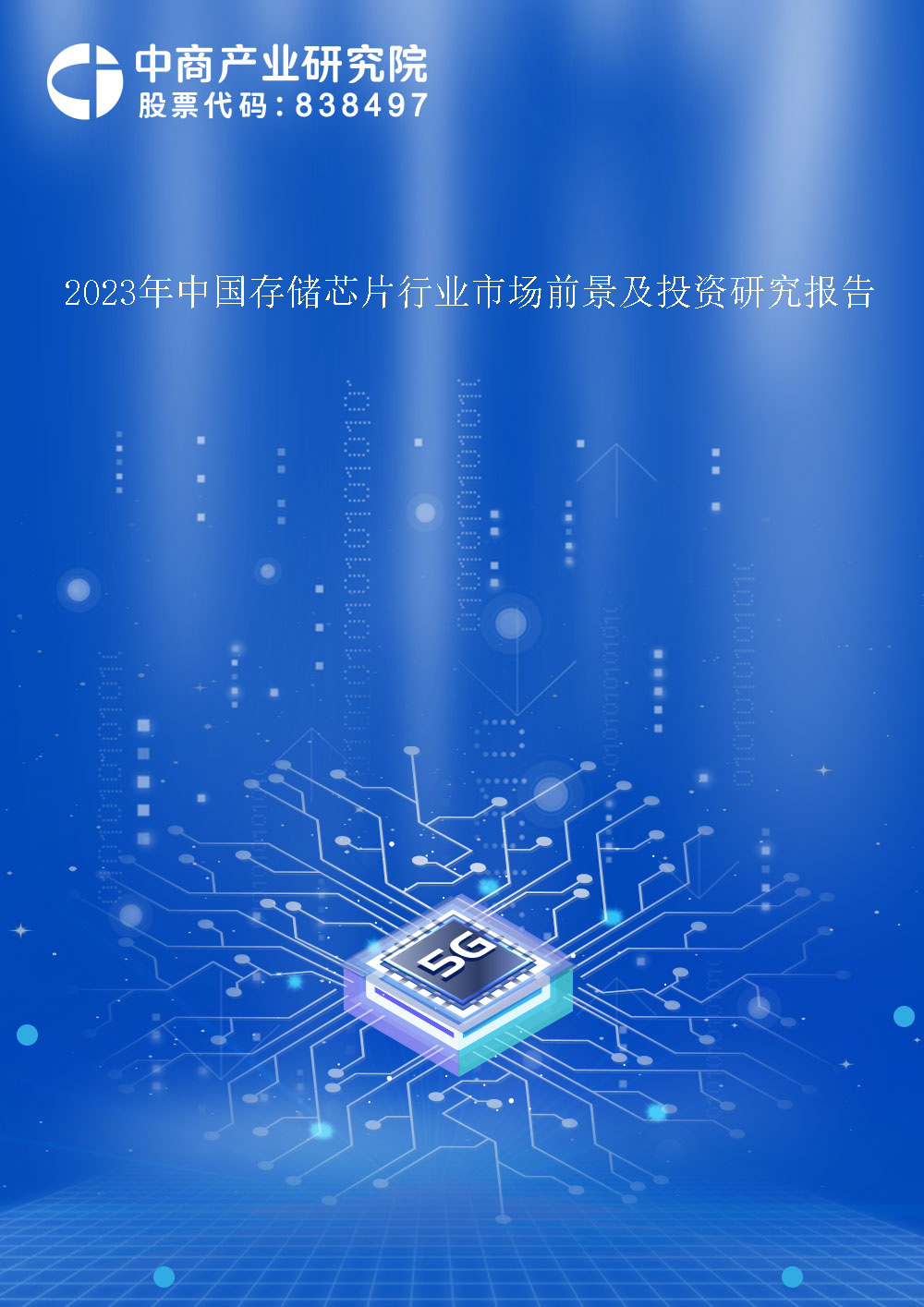 2023年中国存储芯片行业市场前景及投资研究报告
