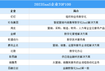 2023SaaS企业TOP100（附榜单）