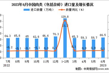 2023年6月中国肉类进口数据统计分析：累计进口量同比增长10.2%