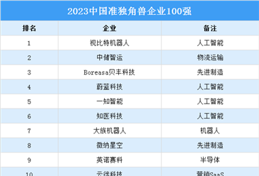 2023中國準(zhǔn)獨(dú)角獸企業(yè)100強(qiáng)排行榜（附榜單）