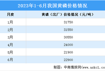2023年6月中国磷化工产业运行情况：磷酸市场价格止跌小幅上涨（图）