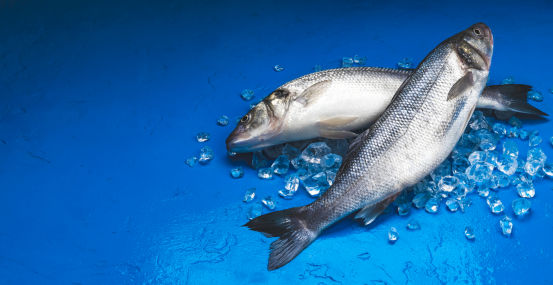 2023年中国水产品市场前景及投资研究报告（简版）