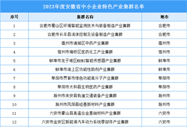 2023年度安徽省中小企业特色产业集群名单：涉及装备制造、医药等产业