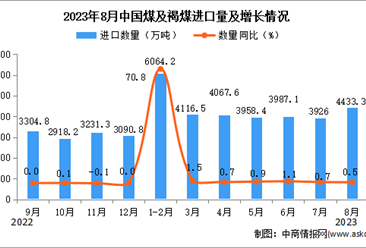 2023年8月中國煤及褐煤進口數據統計分析：進口額與去年同期持平