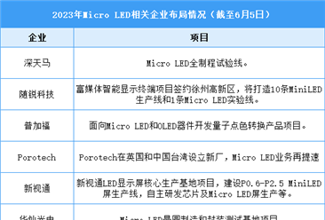 2023年中國Micro LED市場現(xiàn)狀及企業(yè)布局情況預測分析（圖）