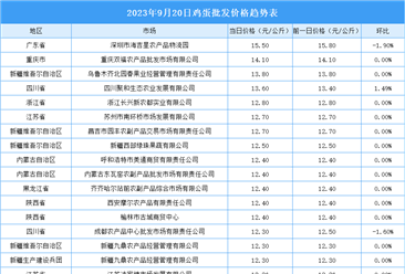 2023年9月21日全国各地最新鸡蛋价格行情走势分析