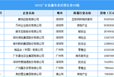2023广东省服务业民营企业50强（附榜单）