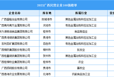 2023广西民营企业100强（附榜单）