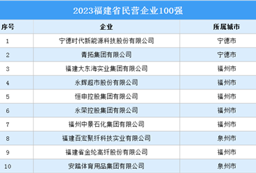 2023福建省民营企业100强（附完整榜单）