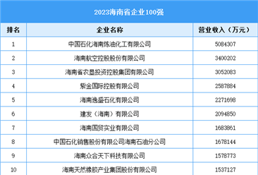2023海南省企业100强（附榜单）