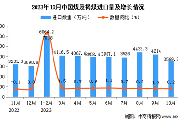 2023年10月中國煤及褐煤進口數據統計分析：進口額與去年同期持平