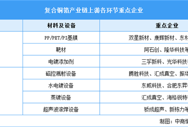 2024年中国复合铜箔市场空间预测及重点企业布局分析（图）
