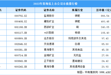 2023年青海省上市公司市值排行榜（附榜單）