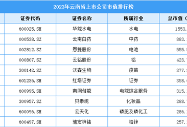 2023年云南省上市公司市值排行榜（附榜單）