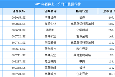 2023年西藏上市公司市值排行榜（附榜单）
