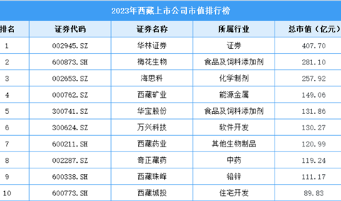 2023年西藏上市公司市值排行榜（附榜单）