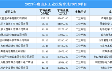 2023年度山东十大工业土地投资项目，投资金额超29亿元