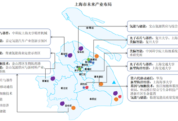 【产业图谱】2024年上海市未来产业全景图谱(附产业空间布局、产业发展现状、发展规划等)