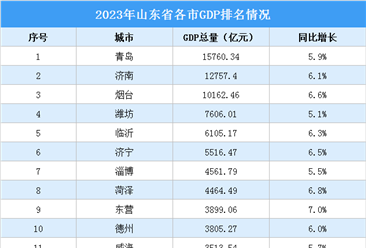 2023年山东省各市GDP排名情况（附榜单）