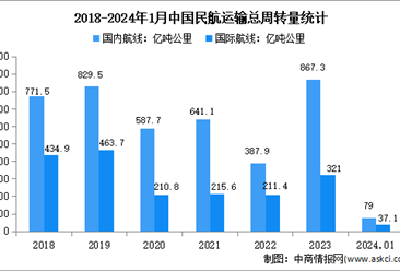 2024年1月中国民航运输情况分析：运输总周转量完成116.1亿吨公里（图）