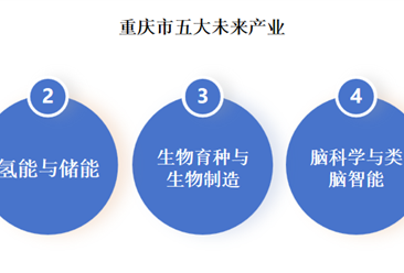 2024年重庆市五大未来产业布局及发展重点分析（图）
