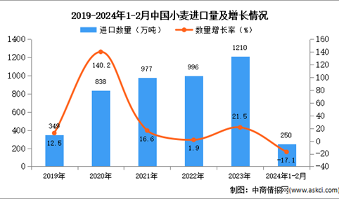 2024年1-2月中国小麦进口数据统计分析：进口金额进口量250万吨