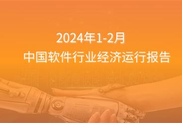 2024年1-2月中国软件行业经济运行报告（附全文）