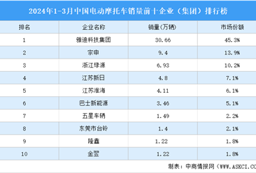 2024年1-3月中国电动摩托车销量前十企业（集团）排行榜（附榜单）