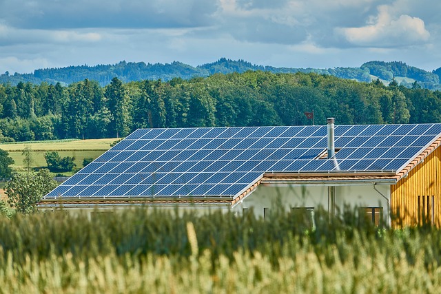 【聚焦风口】太阳能电池产量增长 技术加速迭代