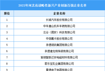 2023年河北省戰略性新興產業創新百強企業名單