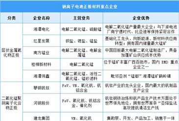 2024年中国钠离子电池正极材料占比及重点企业预测分析（图）