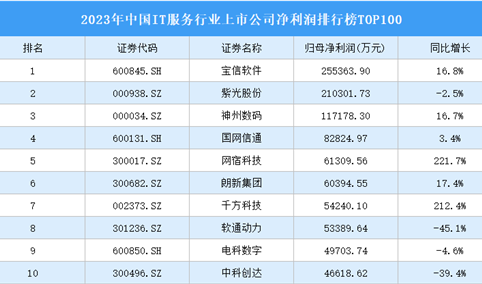 2023年中国IT服务行业上市公司净利润排行榜TOP100（附榜单）